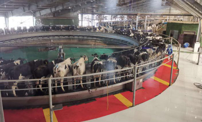 图片1_meitu_3.jpg 图片1_meitu_3.jpg