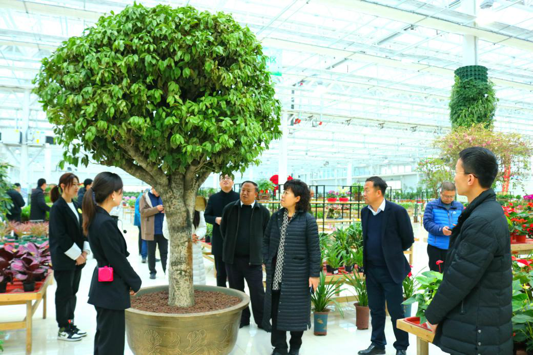 图片3.png 图片3.png