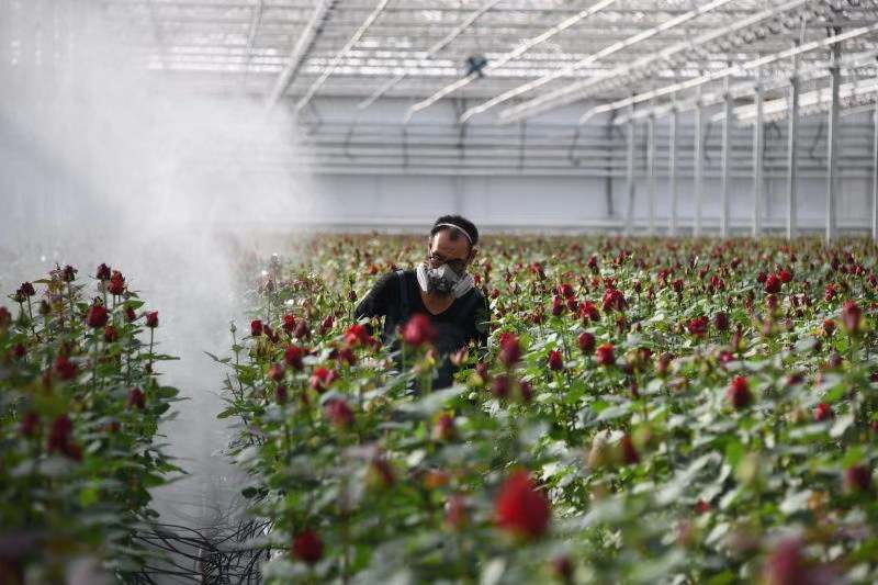 1606448048422396.jpg 1606448048422396.jpg