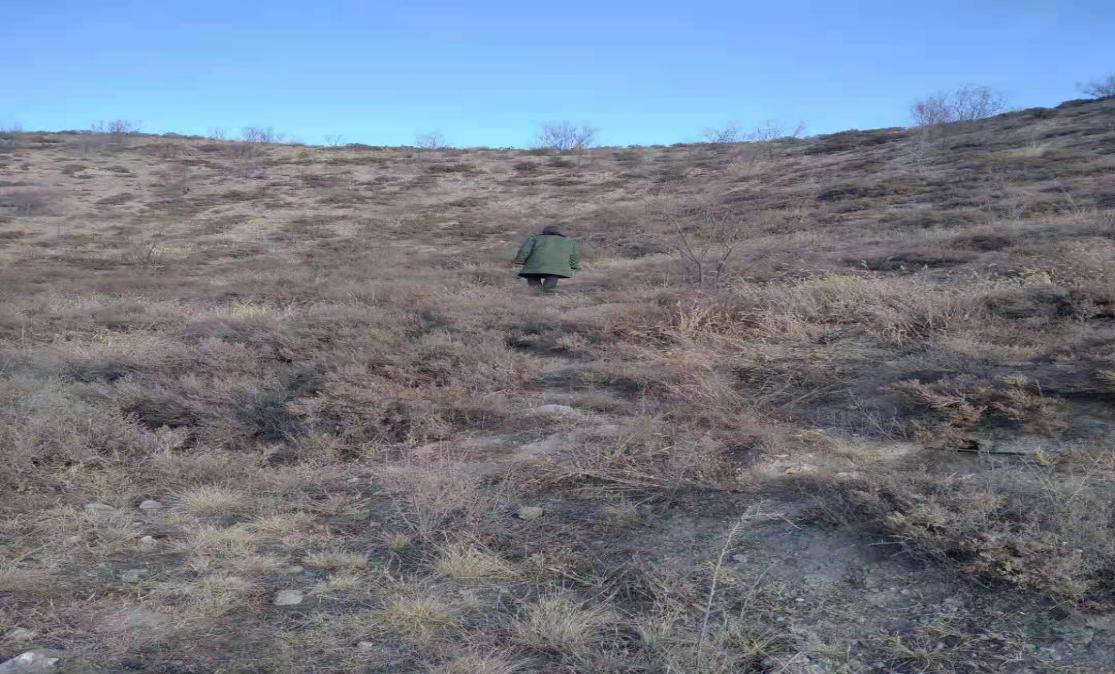 图片2.png 图片2.png