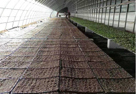 图片8.png 图片8.png