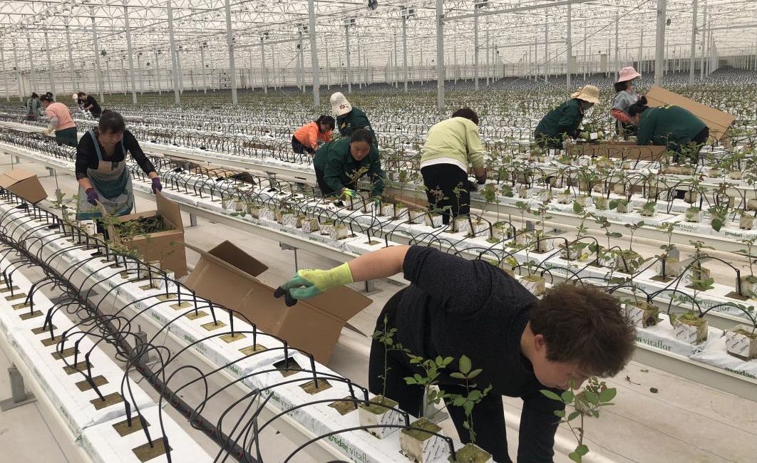 图片2_meitu_7.jpg 图片2_meitu_7.jpg