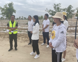 图片7.png 图片7.png