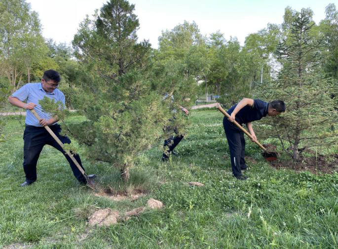 图片11.png 图片11.png