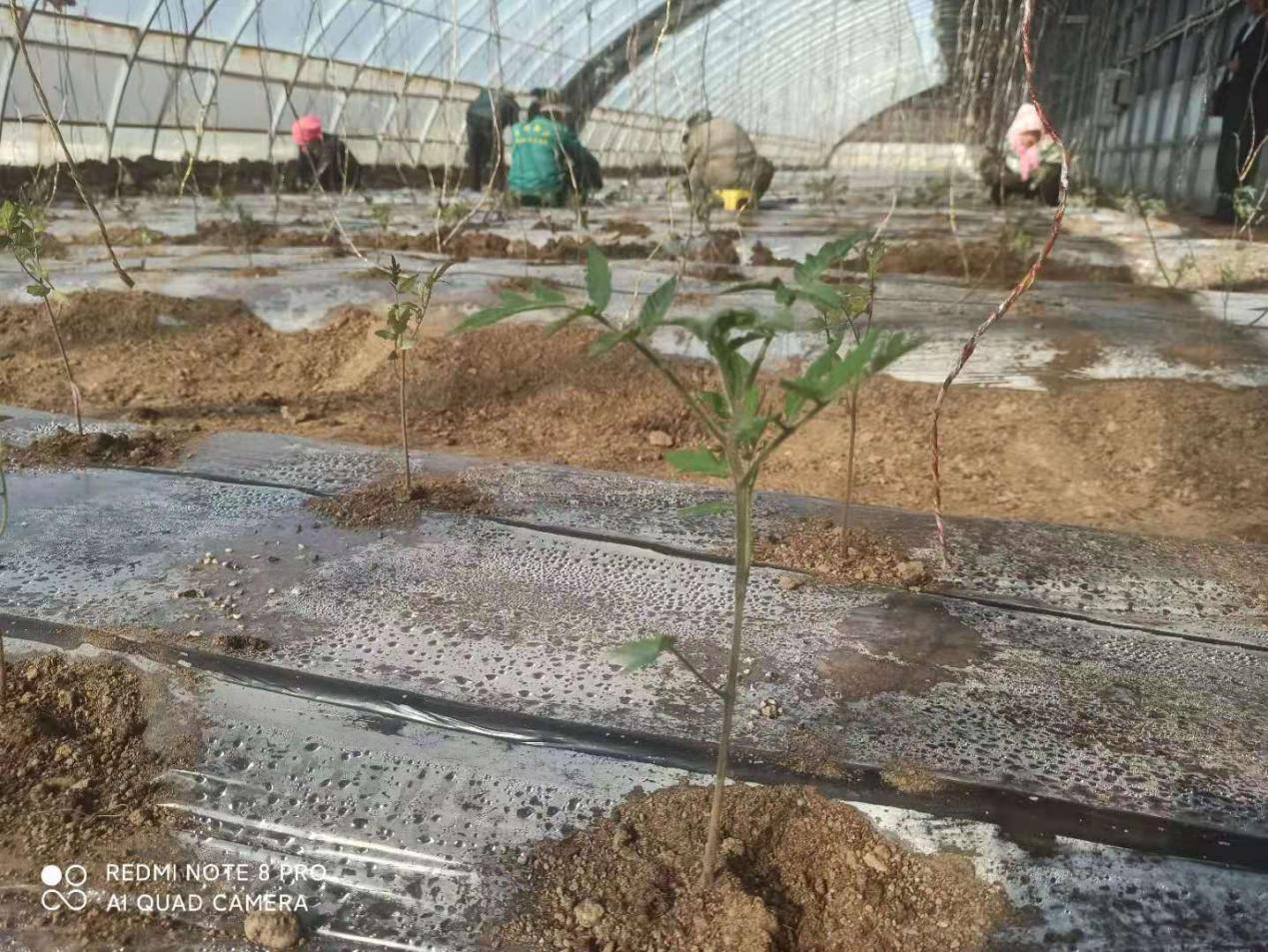 图片4.png 图片4.png