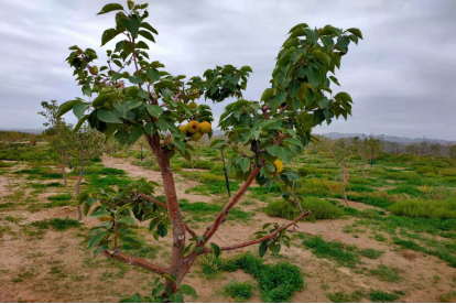 图片3.png 图片3.png