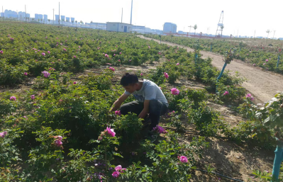 图片4.png 图片4.png