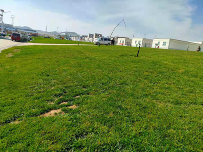 图片6.png 图片6.png