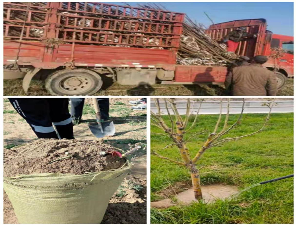 图片3.png 图片3.png