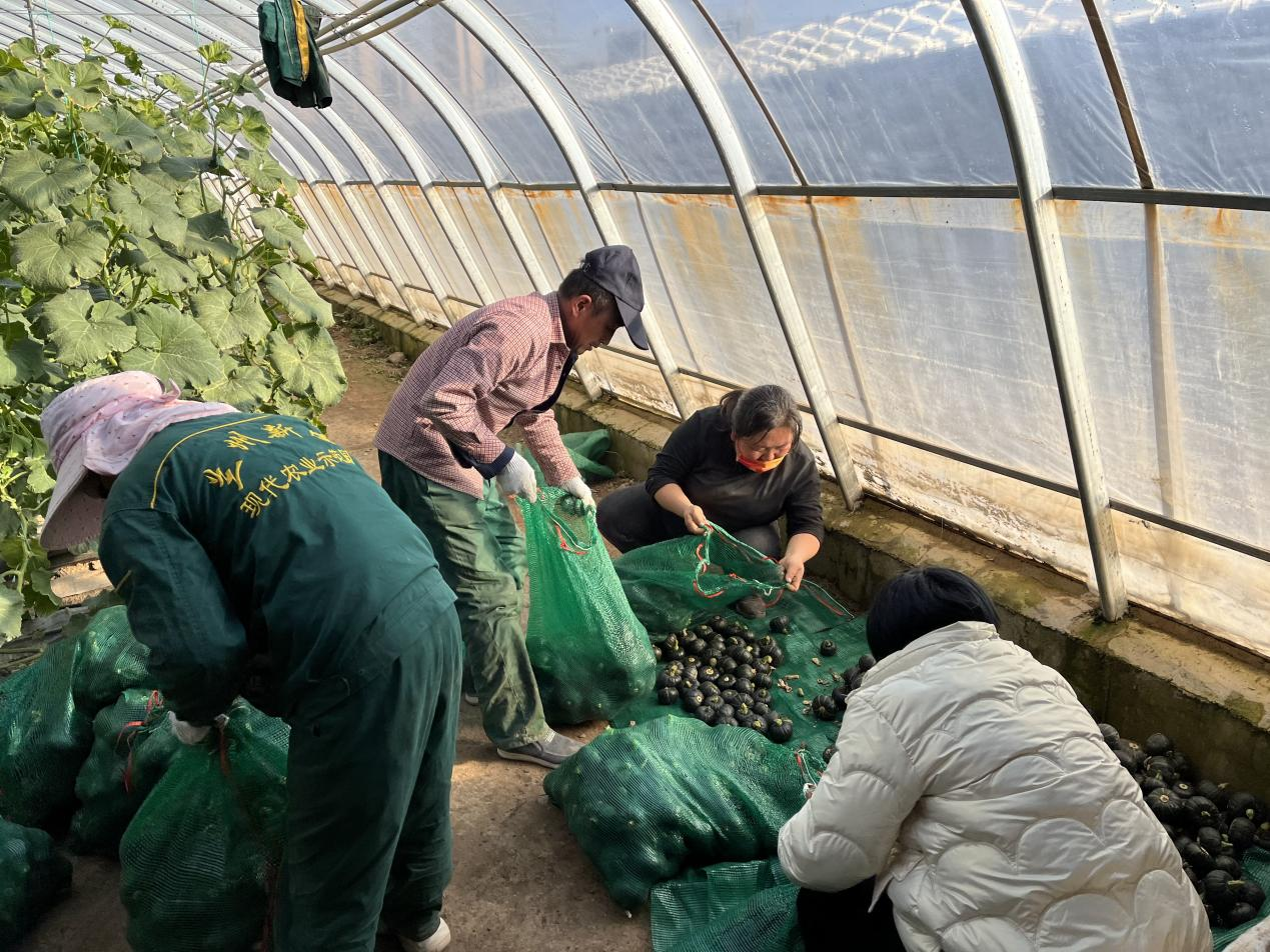 图片3.png 图片3.png