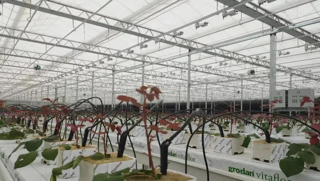 微信图片_20220104093831.jpg 微信图片_20220104093831.jpg