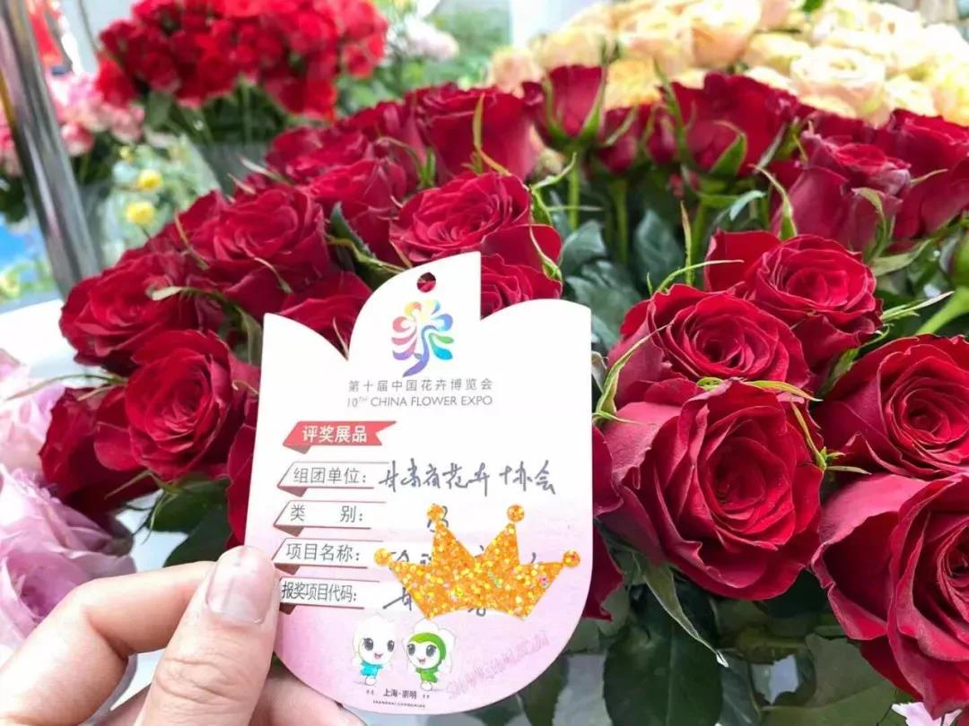 微信图片_20220104093911.jpg 微信图片_20220104093911.jpg