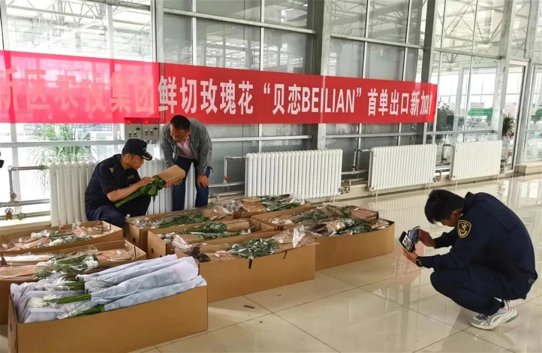 微信图片_20220104094006.jpg 微信图片_20220104094006.jpg