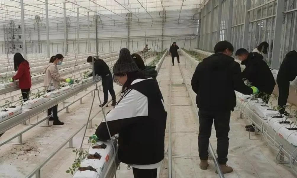 微信图片_20220104094141.jpg 微信图片_20220104094141.jpg