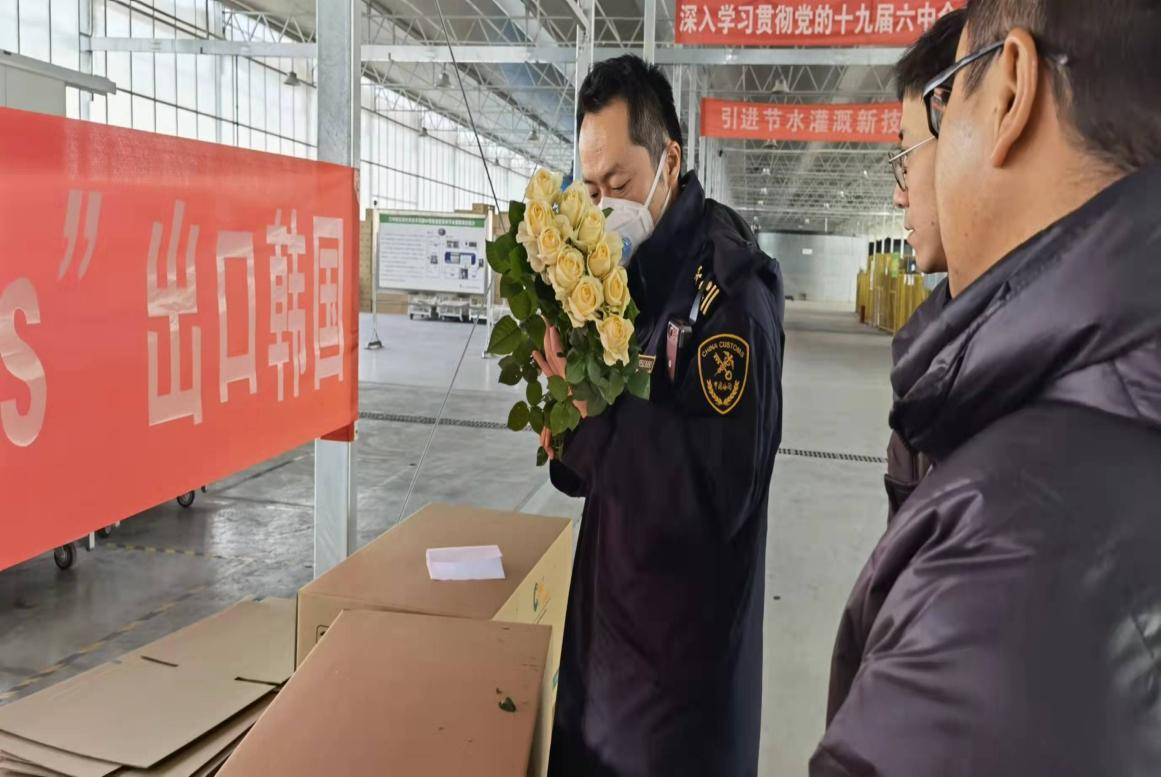 图片2.png 图片2.png