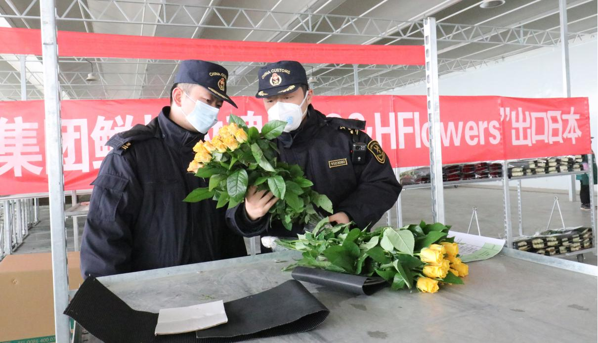 图片3.png 图片3.png