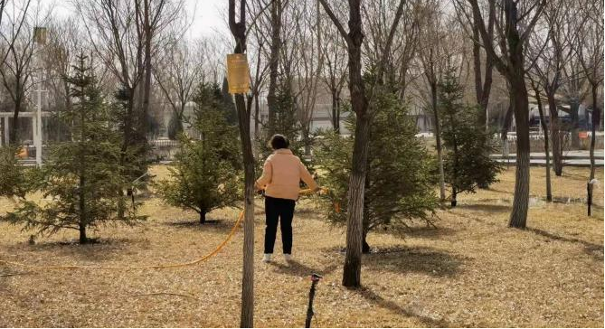 图片1.png 图片1.png