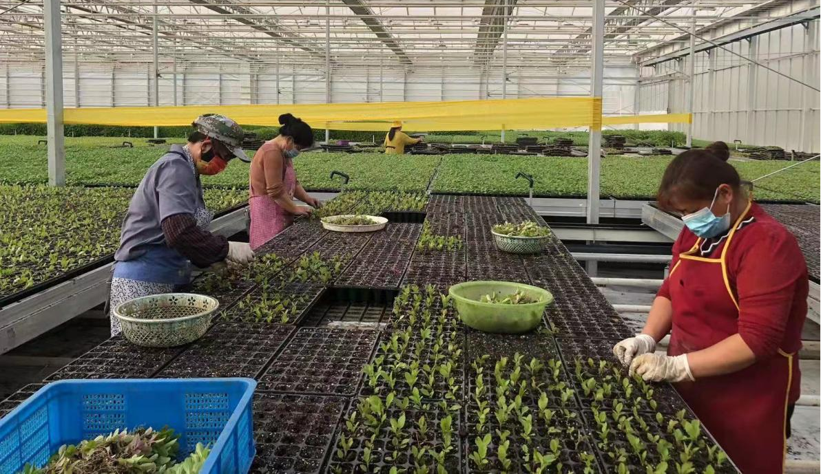 图片2.png 图片2.png