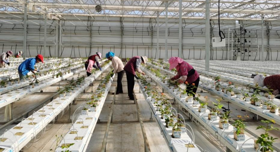 图片2.png 图片2.png