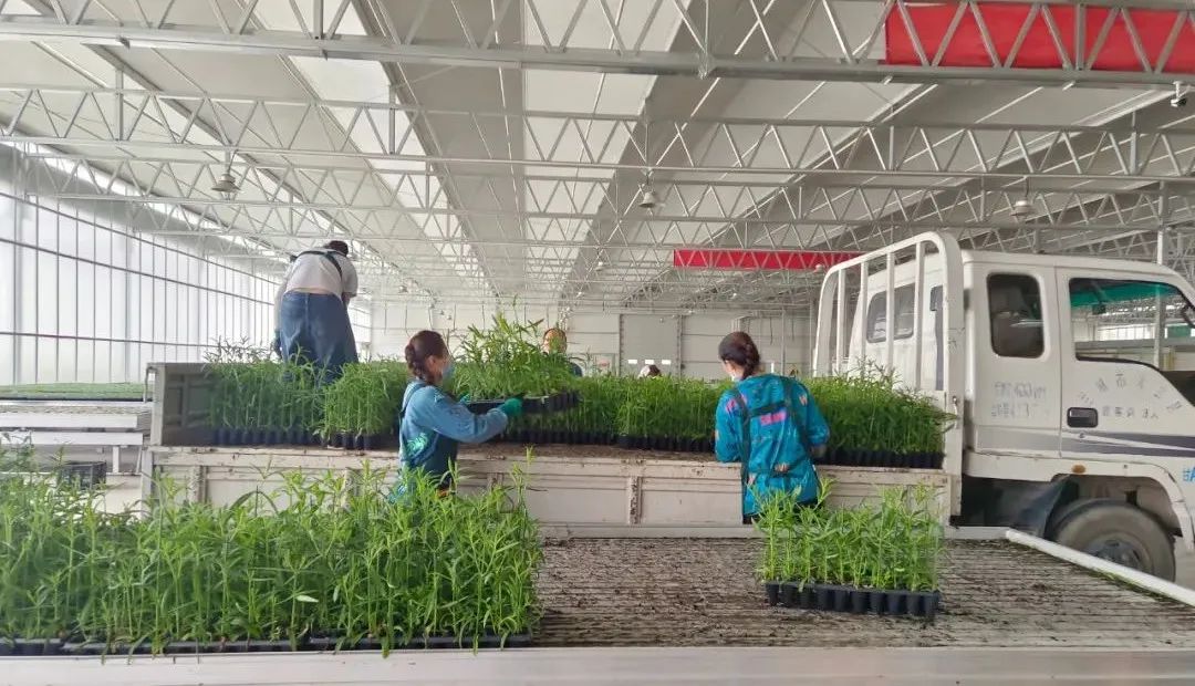 微信图片_20220516094138.jpg 微信图片_20220516094138.jpg