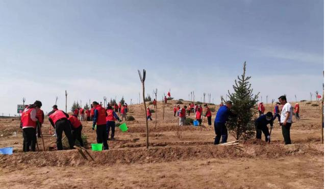 图片4.png 图片4.png