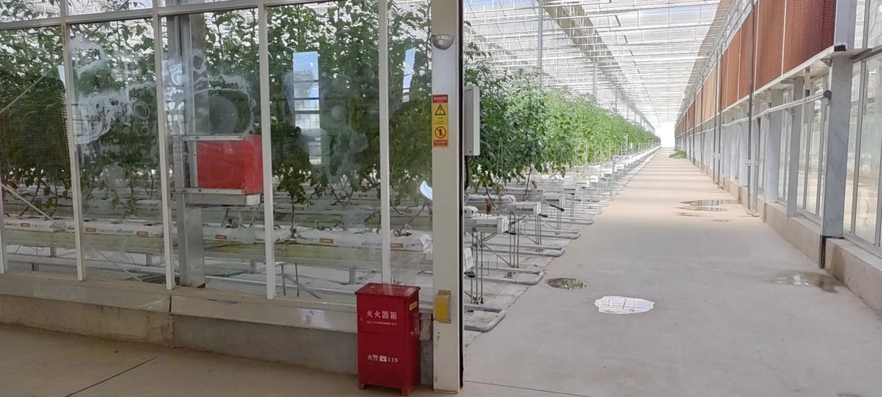 图片3.png 图片3.png