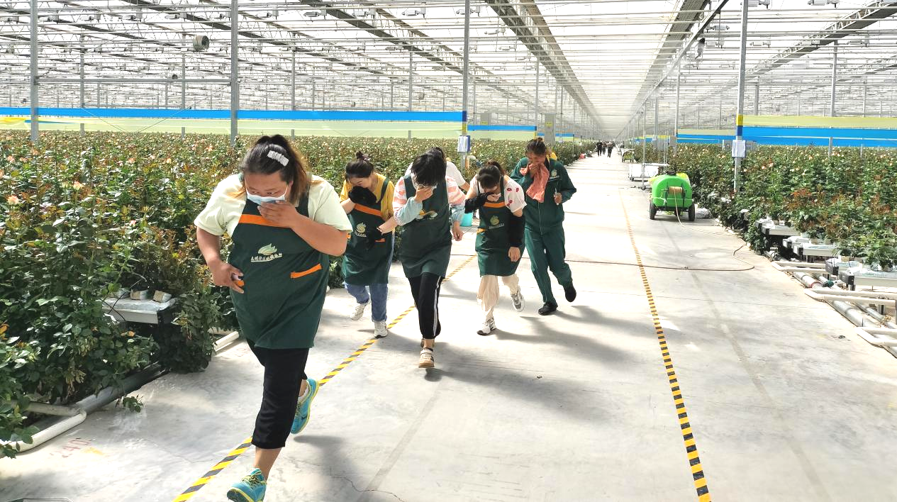 图片16.png 图片16.png