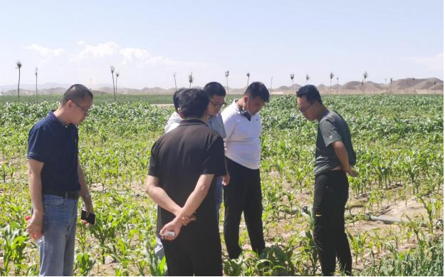 图片3.png 图片3.png