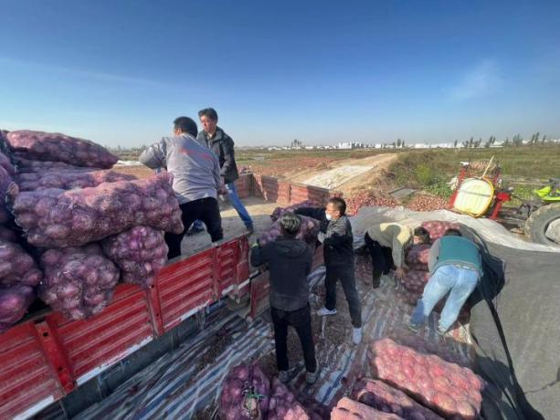 图片3.png 图片3.png