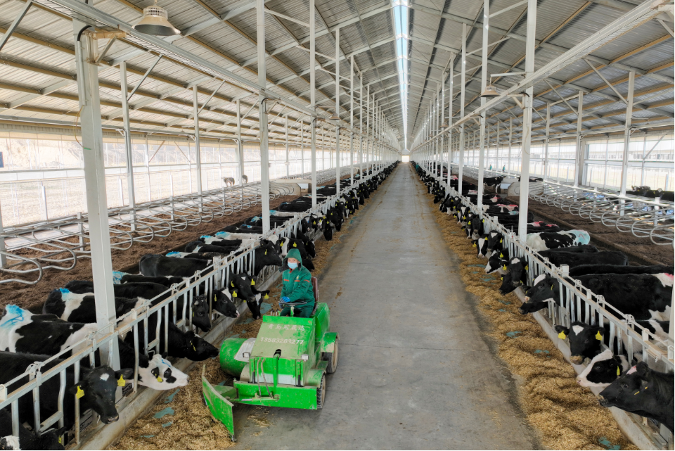 1671010508724.png 1671010508724.png