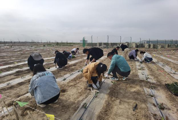 图片3.png 图片3.png