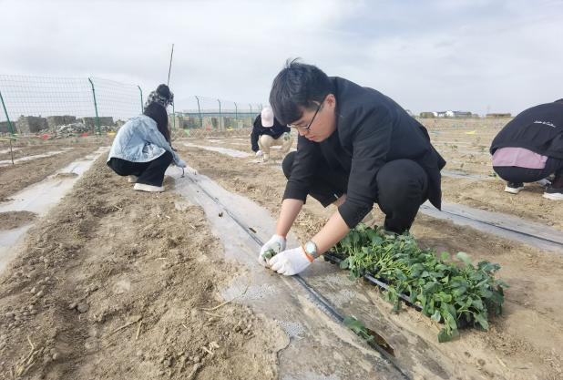 图片4.png 图片4.png