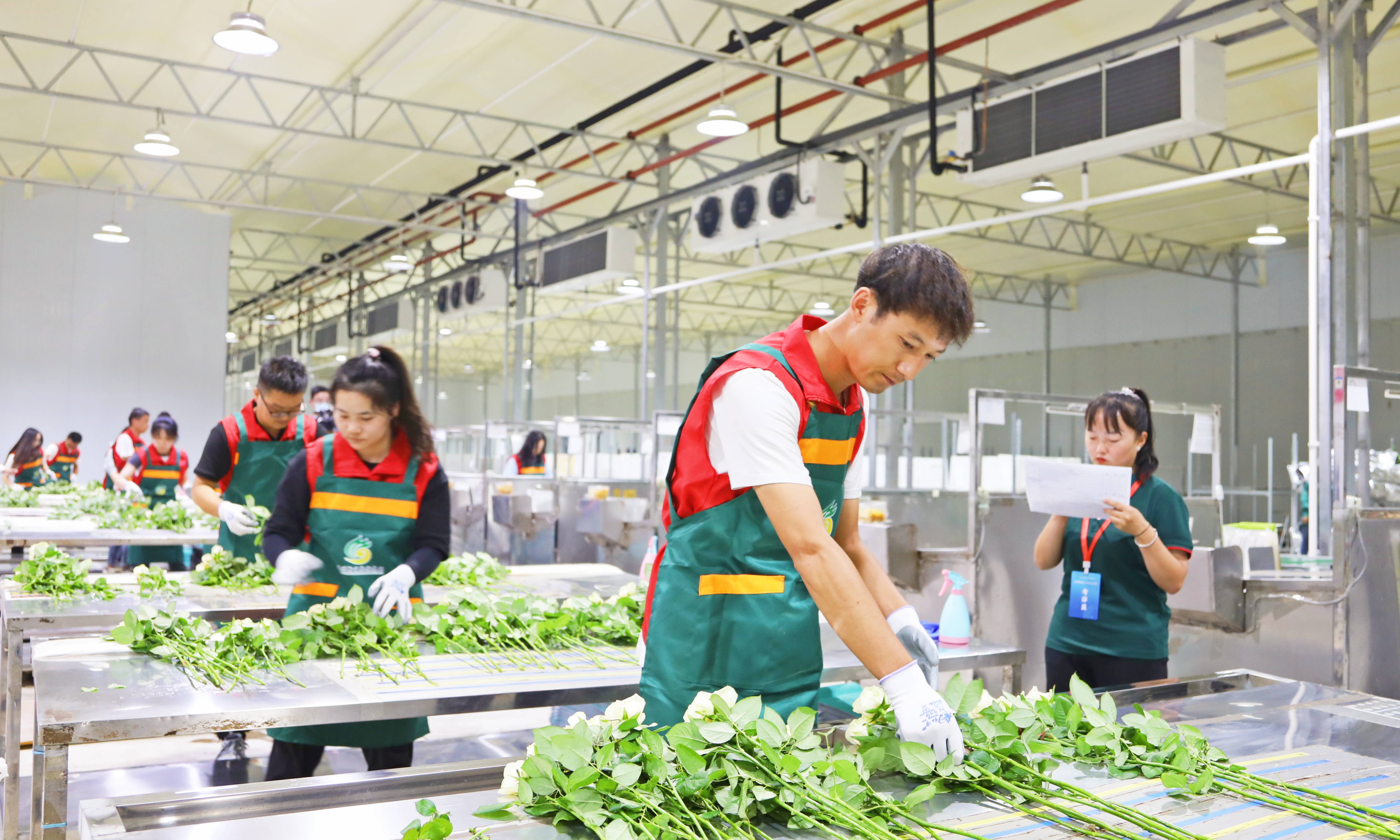 2P1A1246(1)_副本.jpg 2P1A1246(1)_副本.jpg