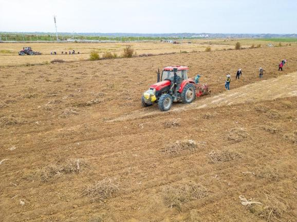 图片1(5).png 图片1(5).png