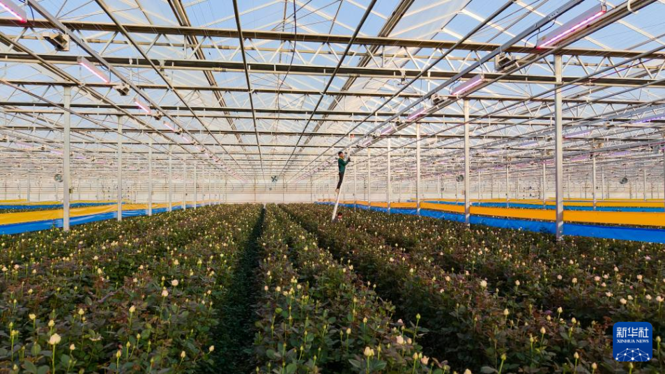 D09BCE59-FEF9-47c3-A0F3-2B74E8ED84CF.png D09BCE59-FEF9-47c3-A0F3-2B74E8ED84CF.png