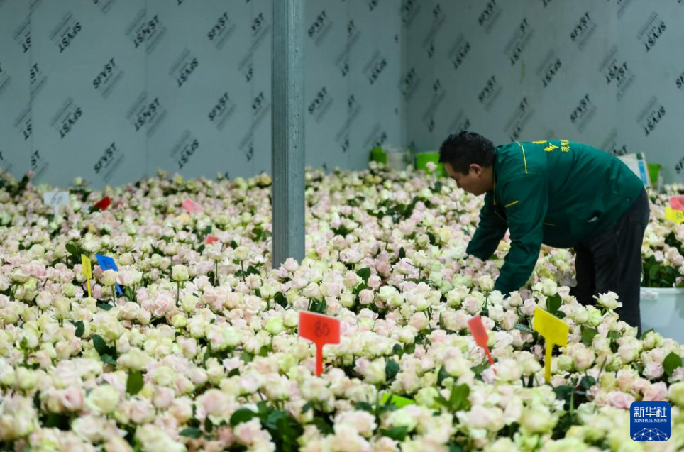 30B46D76-7BC8-4133-B098-15ED354FC1B5.png 30B46D76-7BC8-4133-B098-15ED354FC1B5.png